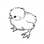 Baby chick coloring page