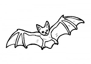 Bats coloring pages