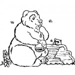 Honey bear bear coloring page