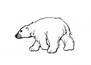 Polar bear coloring page