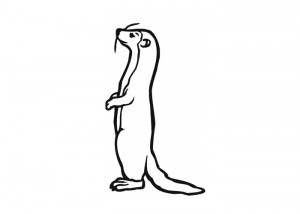 Weasel coloring page