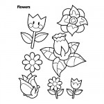 Flowers coloring sheets