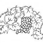 Leaves and grapes coloring page
