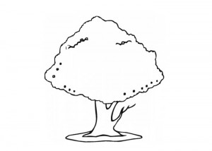 Plum tree coloring page