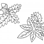 Rainforest leaves coloring page