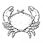 Crab coloring pages for kids