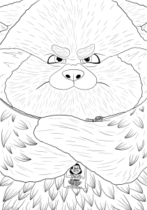 Red Panda Angry Face coloring pages