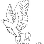 Articuno Flying coloring pages