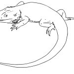 Easy Bearded Dragon coloring pages
