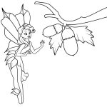 Fairy and Acorns coloring pages