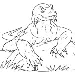 Komodo Dragon on Rock coloring pages