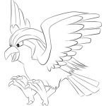 Pidgeotto coloring pages