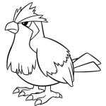 Pidgey coloring pages