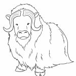 Sker Buffalo coloring pages