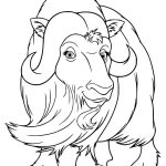 Sker Buffalo cute coloring pages