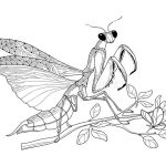 Spore Mantis coloring pages