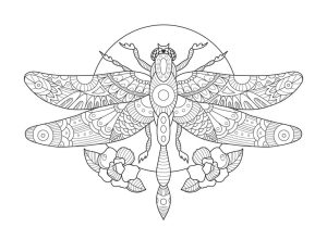 Wonderful Dragonfly coloring pages
