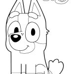 Bluey Socks coloring pages