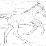 Bucking Foal coloring pages