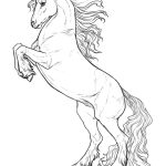 Cool Horse coloring pages