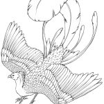 Digital Gryphon coloring pages