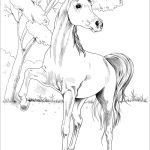 Egyptian Arabian Horse coloring pages