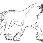 Gypsy Vanner Horse coloring pages