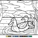 Mullard Ducks Color by Number coloring pages