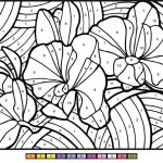 Orchid Color by Number coloring pages