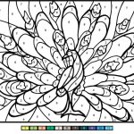 Peacock Color by Number coloring pages