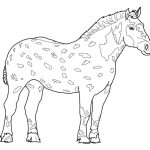 Percheron Horse coloring pages