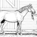 Realistic Horse coloring pages