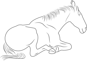 Sitting horse coloring pages