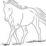 White horse coloring pages