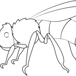 Carpenter bee coloring pages