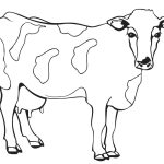 Realistic Cow coloring pages