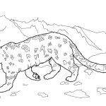 Snow leopards coloring pages