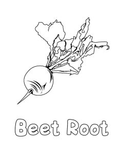 Beetroot coloring pages