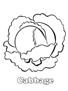 Cabbage coloring pictures