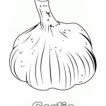Garlic coloring pages