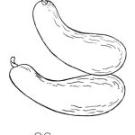 Marrow coloring pages