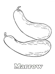 Marrow coloring pages