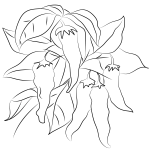 Pepper coloring pages