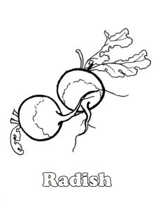 Radish coloring pages