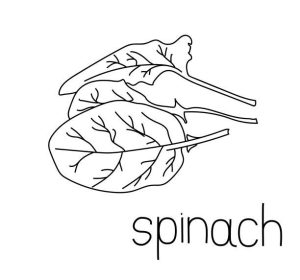 Spinach coloring pages