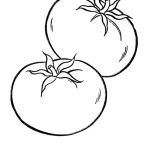 Tomato coloring page