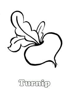 Turnip coloring pages