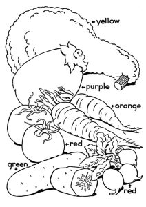 Vegetables coloring pictures