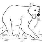 Bear catching fish coloring pages