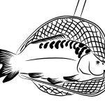 Catching Carp coloring pages